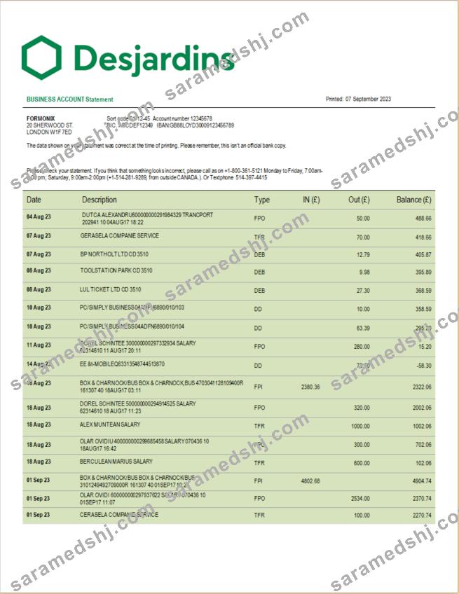Desjardins Bank corporate checking account statement Word and PDF template